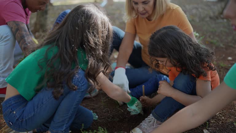 Tree and Shrub Care in Holloman Af, NM